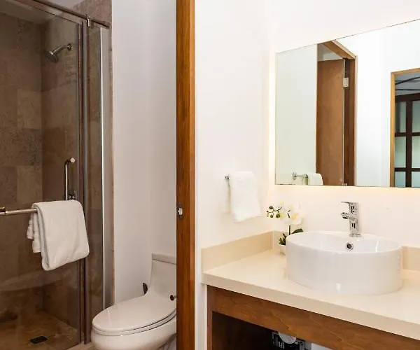 Ipana Unos Pasos De 5ta Avenida Apartamento